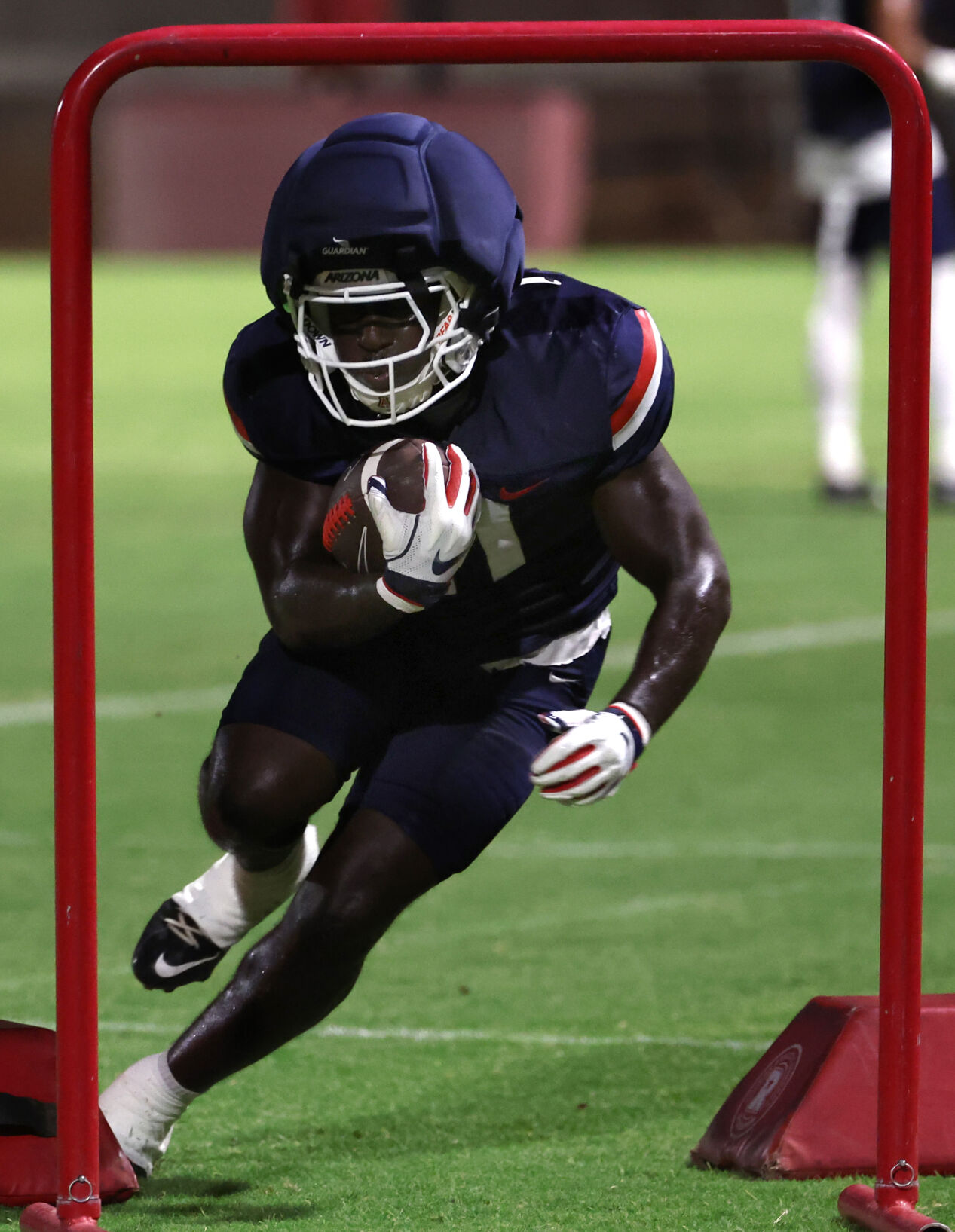 Arizona Wildcats preseason